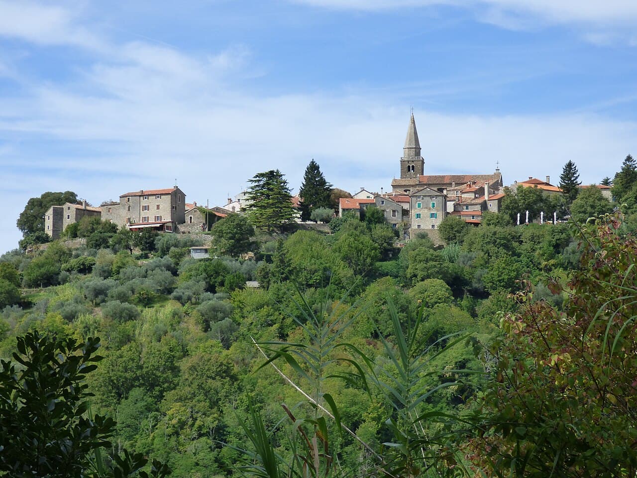 Grožnjan hilltop town seen from the south-east