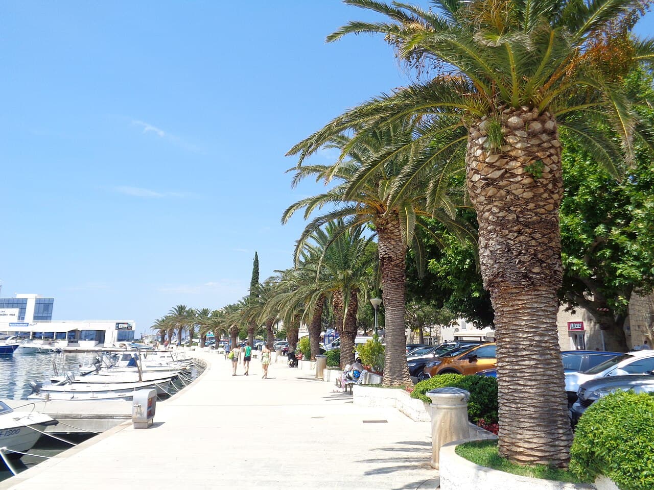 Palm-lined seafront promenade and harbour in Baška Voda